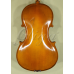 Viola 16.5” (42 cm) Genial 2 (incepator) - Lac Nitro 